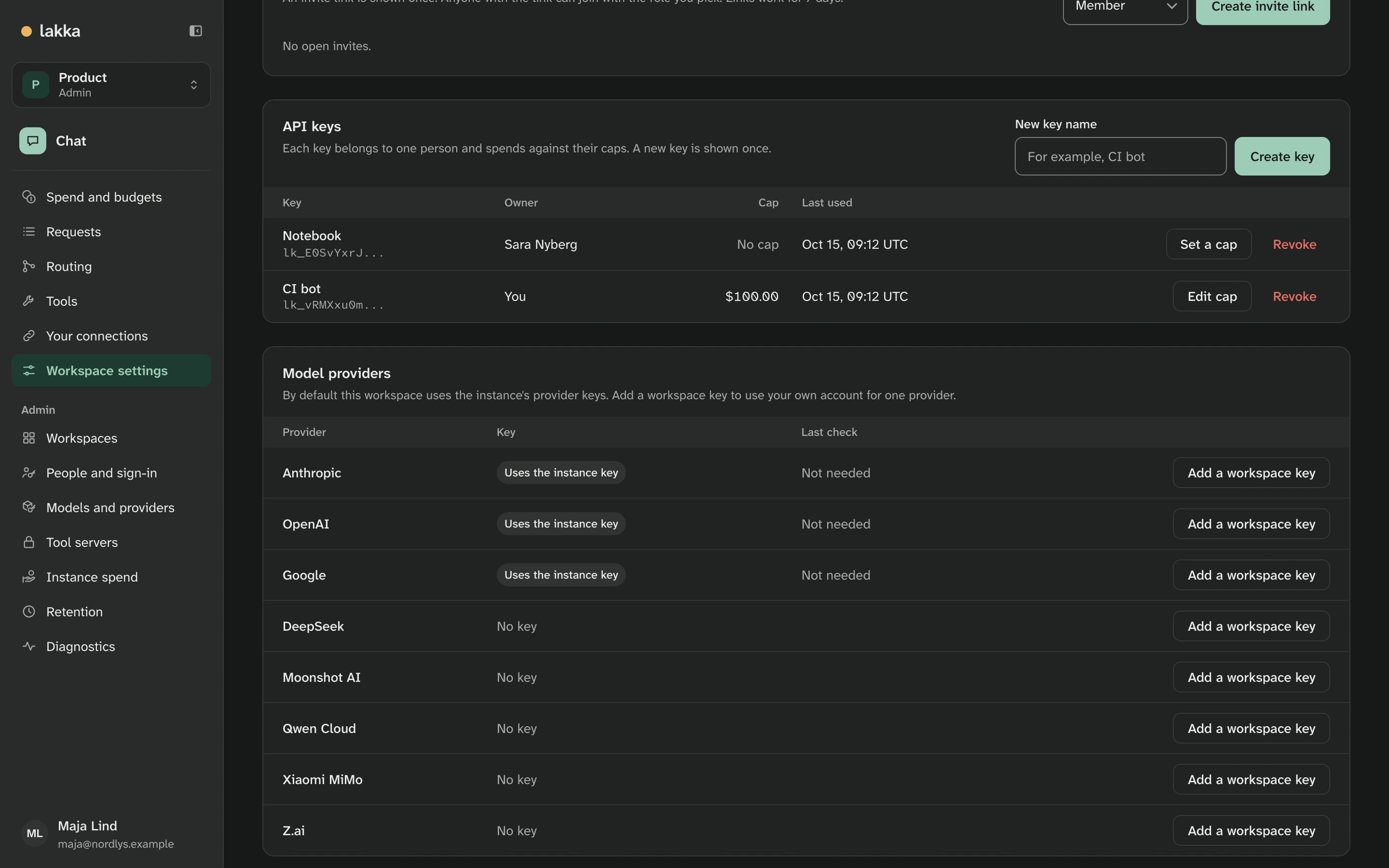 Workspace settings: two API keys, CI bot with a $100.00 cap and Notebook with none, and the workspace's model providers